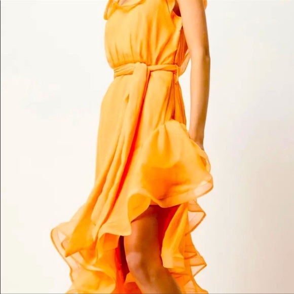 Elliate Maldives Ruffle Asymmetric Maxi Dress in Mango | Tangerine - Picture 2 of 12